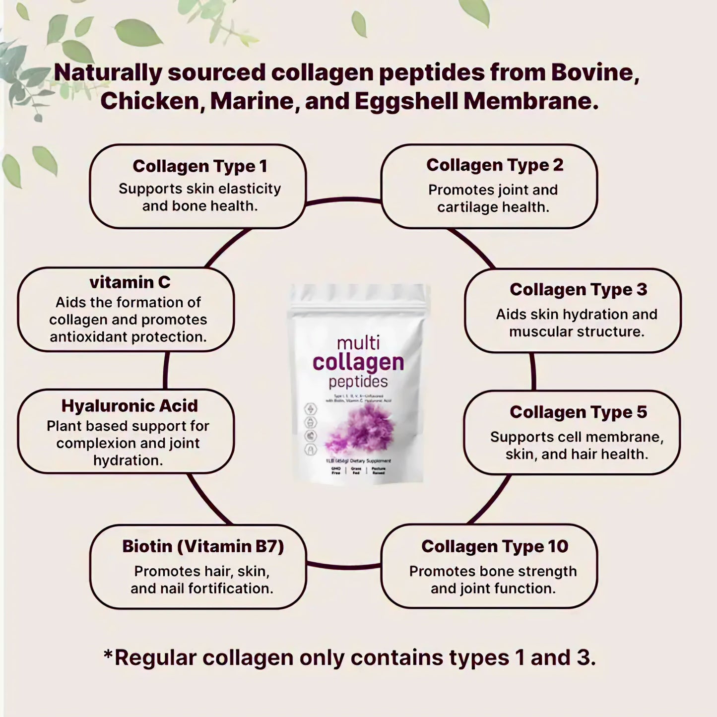 Multi Collagen peptides powder
